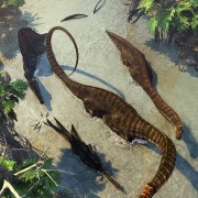 Apatosaurus From Above