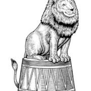 Lion illustration-18d70af5